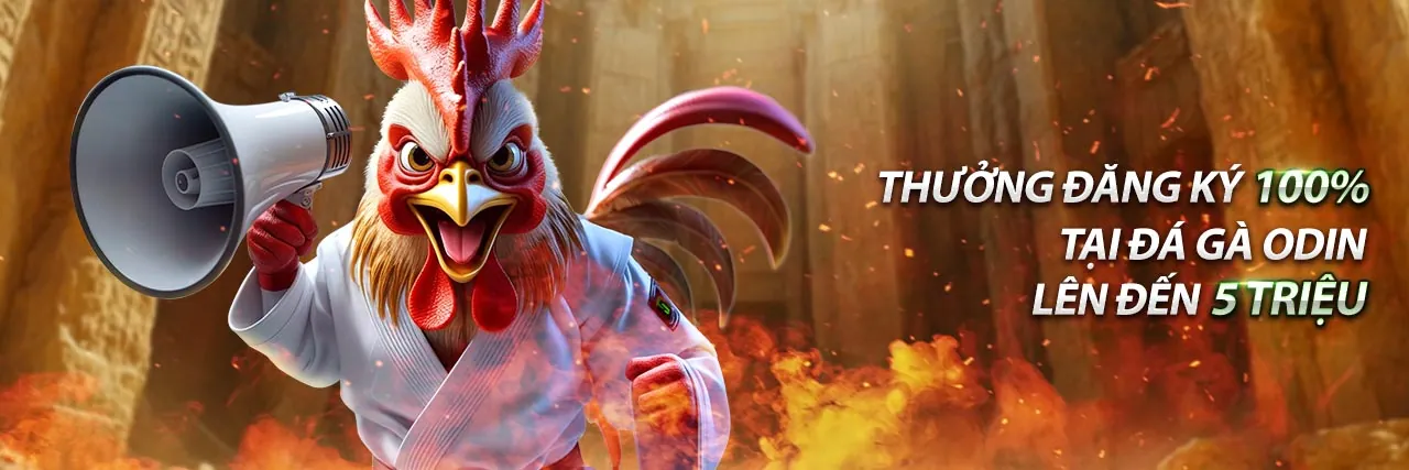 Đội ngũ hỗ trợ khách hàng chuyên nghiệp của 6vin chính thức