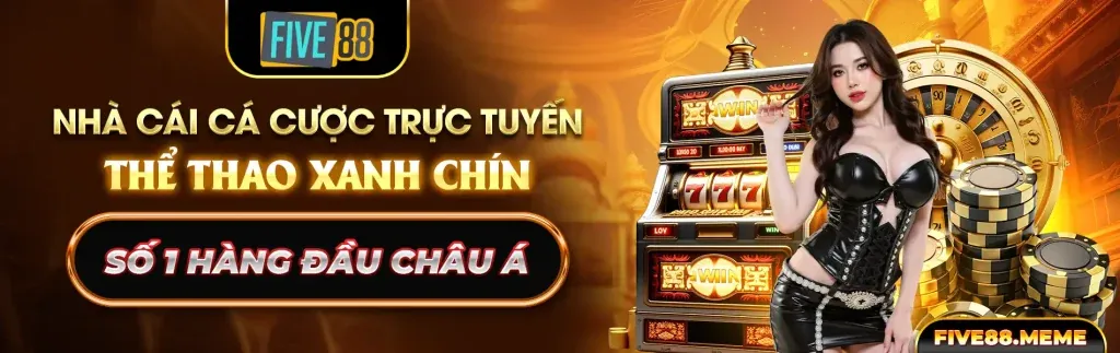 Các chương trình khuyến mãi độc quyền tại 6vin chính thức