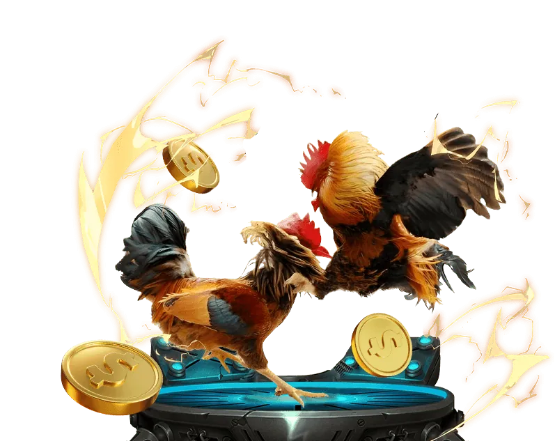 Tổng quan các loại khuyến mãi tại 6vin chính thức